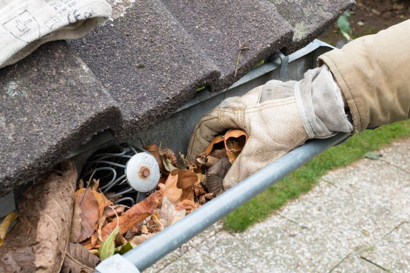 Gutter Pine Needle Removal in Westchester County, NY
